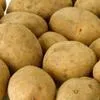 картофель семенной Республика Беларусь в Азербайджане