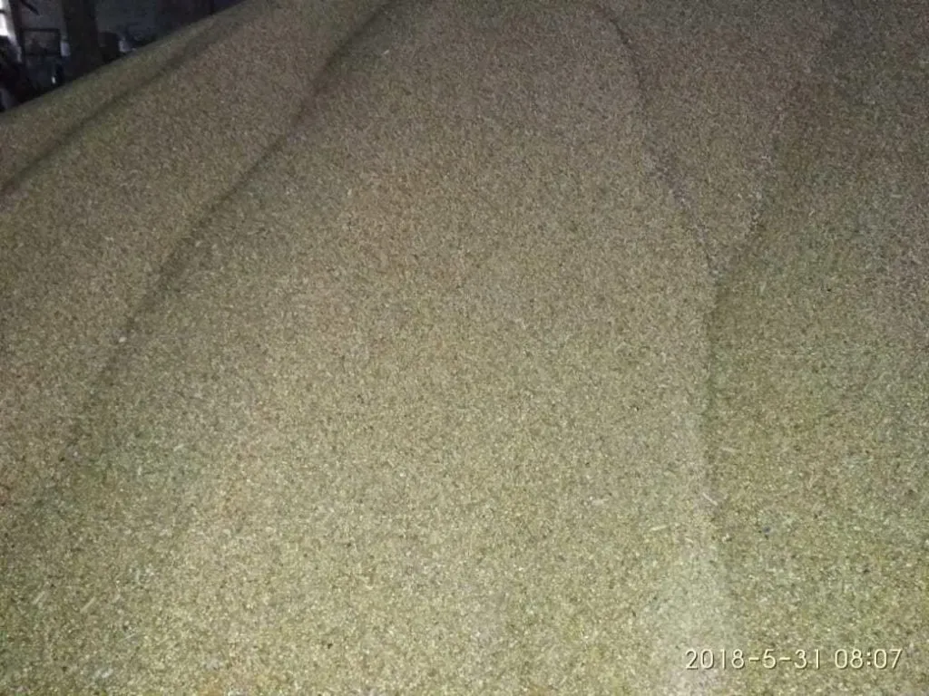 зерно Кукурузы  в Барнауле 2