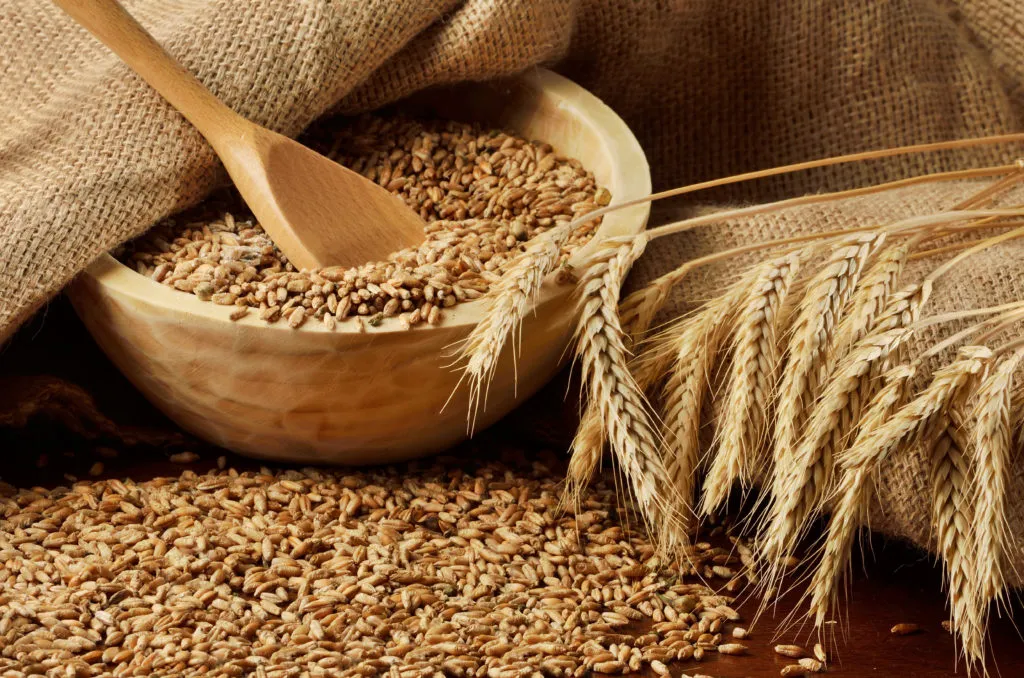 фотография продукта Пшеница протеин 12,5%