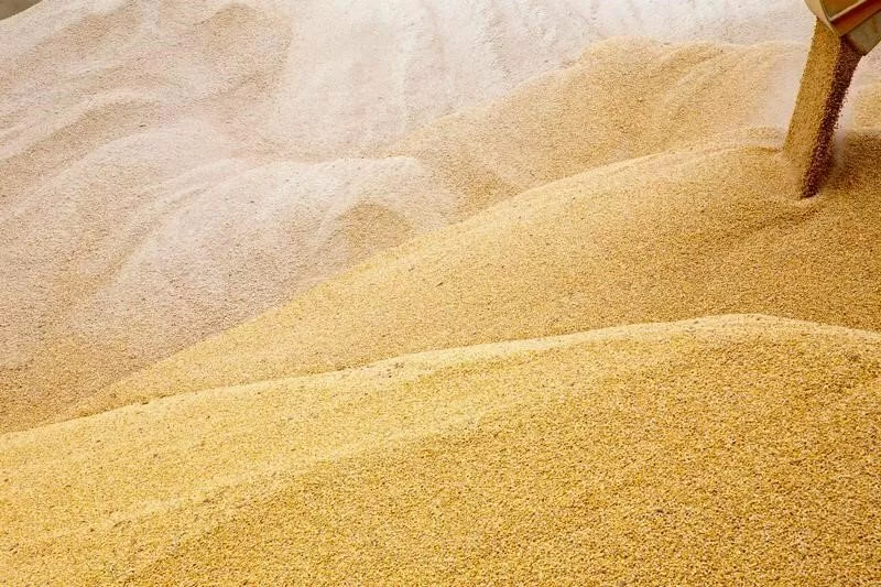 фотография продукта Пшеница на экспорт 
