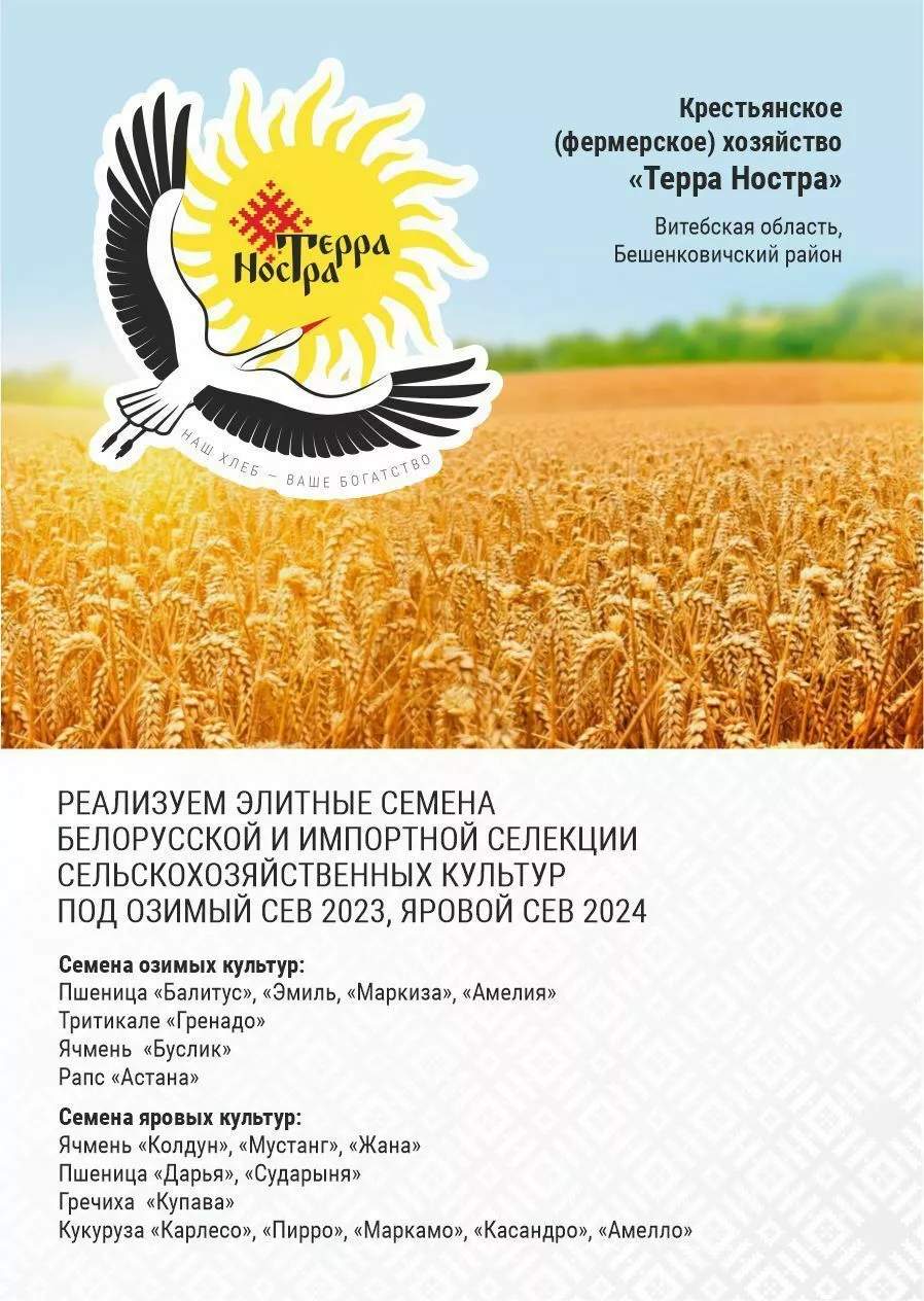 озимые семена пшеницы(импортные селекции в Республике Беларусь
