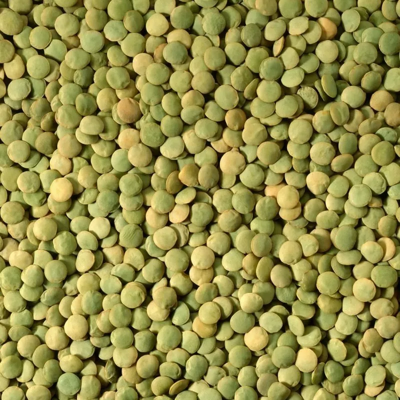 фотография продукта Семена чечевицы зеленой и красной   