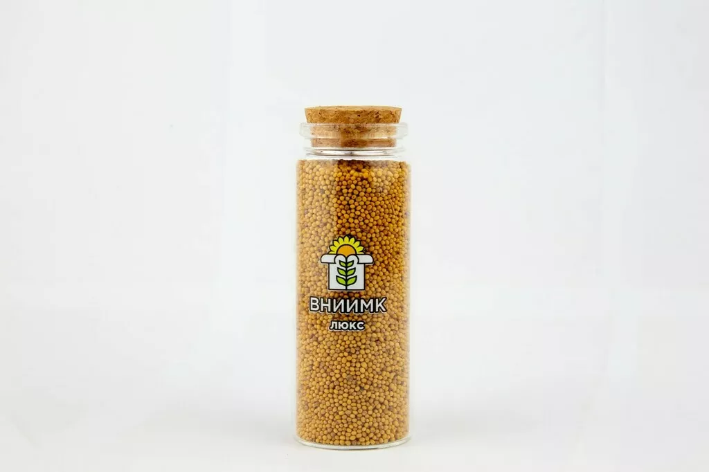 фотография продукта Семена горчицы сарептской сорт люкс