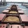 milling Wheat 45 000 tons CIF China в Китае