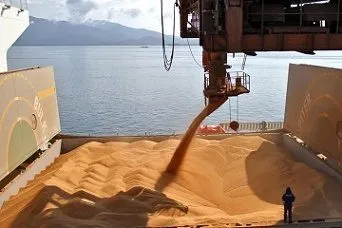 milling Wheat 25000 tons - CFR Syria в Сирии