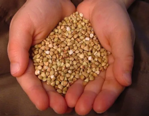 buckwheat в Китае