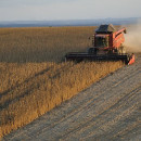 В США собрана почти вся озимая пшеница