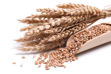 Украина в первой половине июня экспортировала 695 тыс. тонн зерна