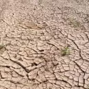 Пермские учёные нашли решение для борьбы с засухой