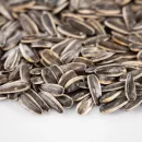 В России с 21 ноября запретили импорт семян подсолнечника компании Syngenta из Испании и Финляндии