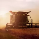 Весь огромный урожай бразильского зерна в перспективе будут убирать беспилотные комбайны