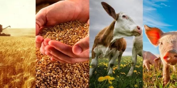 Сельскохозяйственное производство в ЕС замедлится