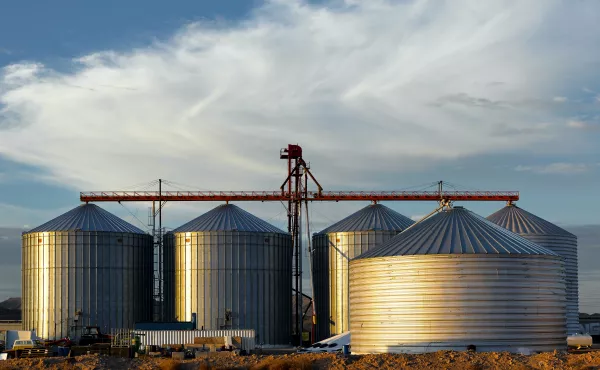 «Агросила» увеличит качественные показатели семян до 99,9% за счет модернизации завода
