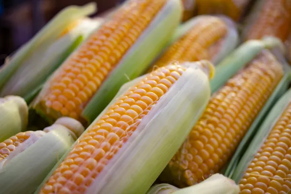 Получены несколько гибридных комбинаций тетраплоидной белозерной пищевой кукурузы