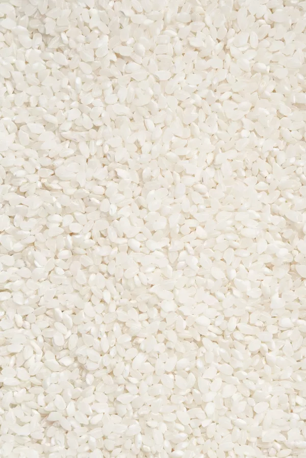 Компания «СиСорт» выпустила специализированный сепаратор для риса