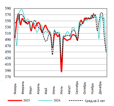 США: Обзор рынка свиней за 47 неделю от 24 ноября 2025 года