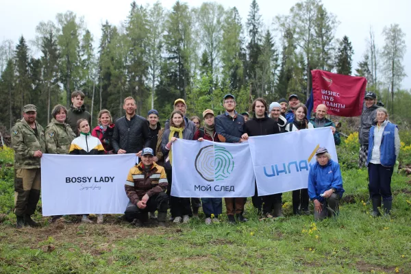 Углеродный след компании «Инлайн»: оценка за 2025 год