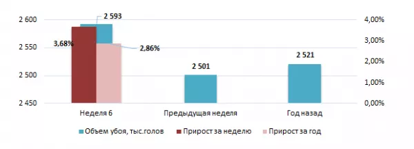 США: Обзор рынка свиней за 6 неделю от 09 февраля 2026 года