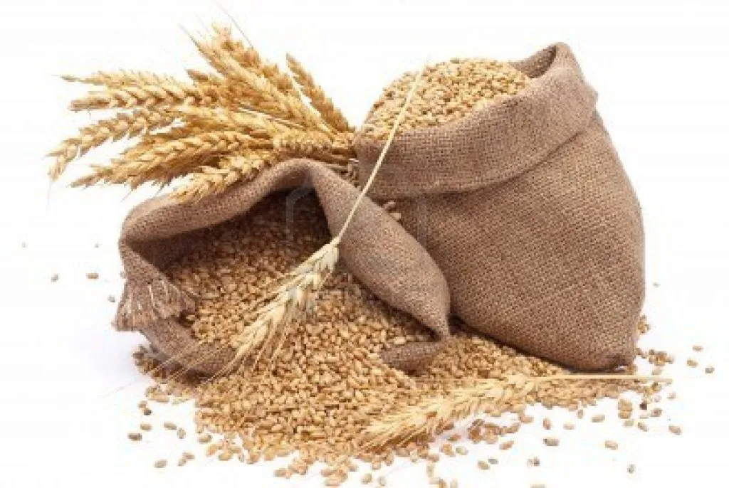 отруби,  пшеницу,  ячмень, муку,  лен  в Узбекистане 8