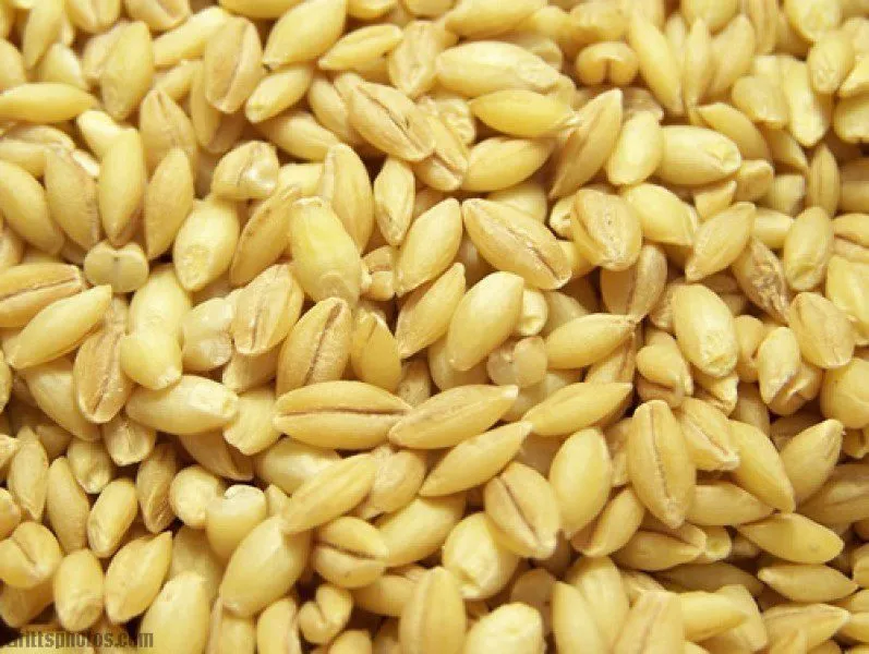 отруби,  пшеницу,  ячмень, муку,  лен  в Узбекистане 5