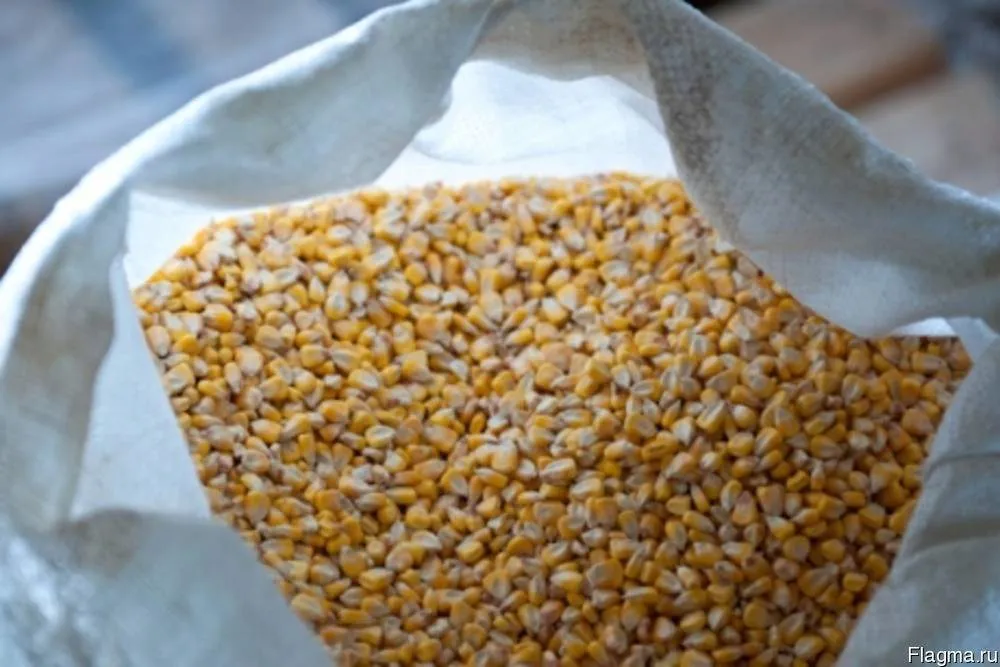 фотография продукта Кукурузу : целую, молотую, дробленую