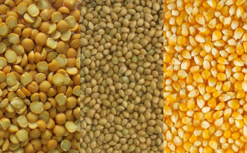 фотография продукта Пшеница, кукуруза, овес, ячмень. РОЗНИЦА