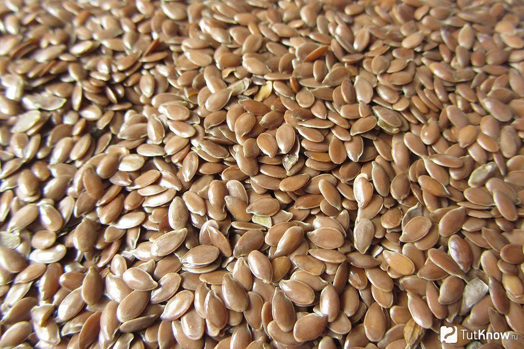 Фотография продукта Семена льна масличного  вниимк 620