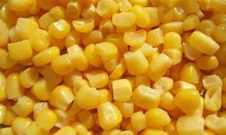 фотография продукта Семена гибридов кукурузы.