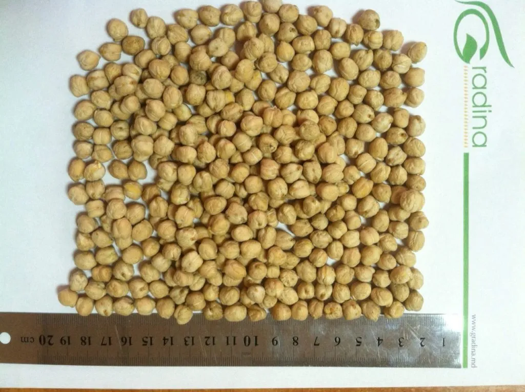 фотография продукта Семена нута крупноплод, 1000 шт./484гр.