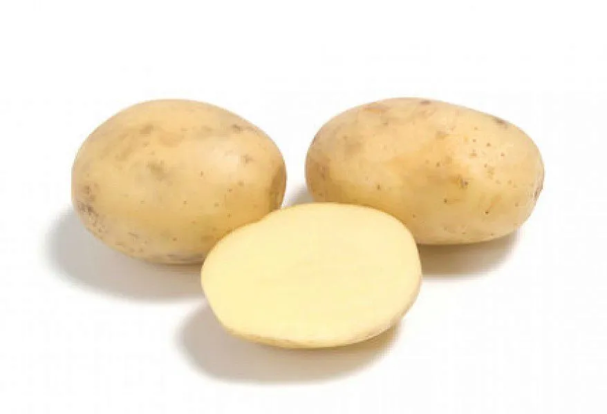 Фотография продукта Продаем картофель сорт: коломбо от 10т.