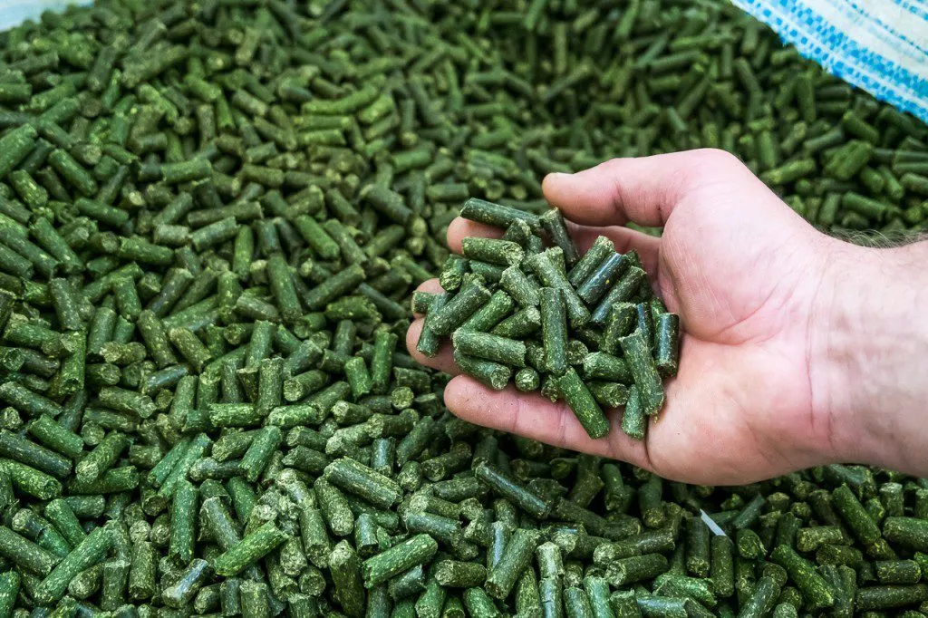 Фотография продукта Люцерна гранулированная Травяная мука