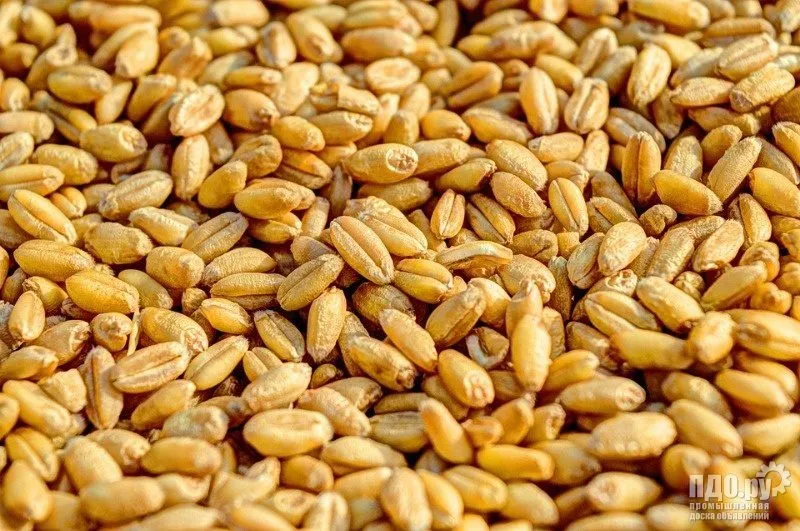 фотография продукта Пшеница 3,4,5 класс от производителя! 