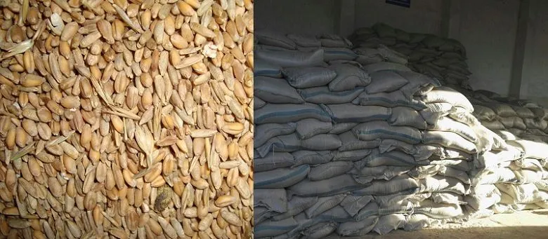 фотография продукта Овес + пшеница (микс) в Монголии