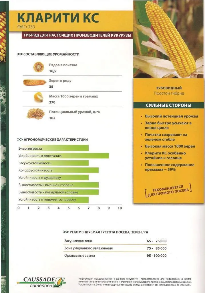 гибридные семена кукурузы Кларити КС в Ставрополе