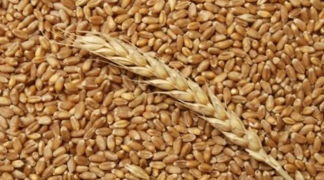 фотография продукта Пшеница,ячмень,горох,чечевица .