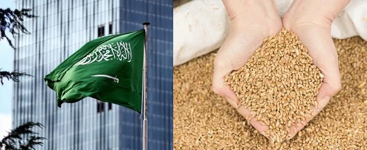 wheat wheat CIF ports of Saudi Arabia в Саудовской Аравии