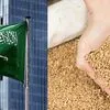 wheat wheat CIF ports of Saudi Arabia в Саудовской Аравии