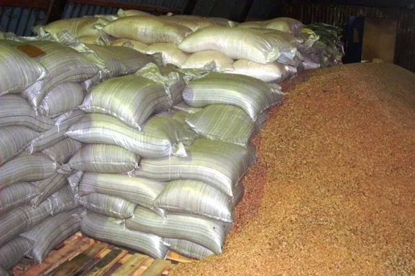 fodder grain in bags в Иране