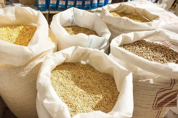 fodder grain in bags в Иране 2