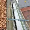 feed barley to IRAN (in bulk)  в Иране 2