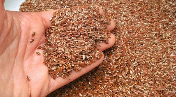 фотография продукта Flax seeds - 3000 tons to Vietnam