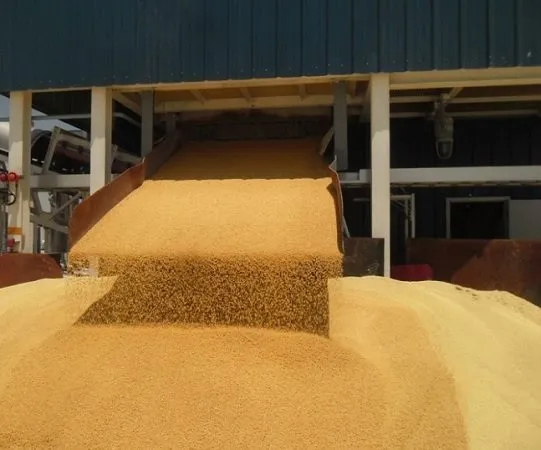 Фотография продукта Milling wheat - protein 15 Saudi Arabia
