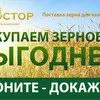 купим пшеницу, ячмень, овес. в Екатеринбурге