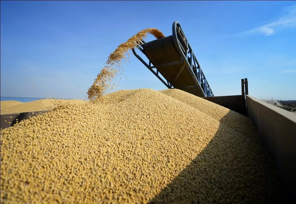 экспорт зерна в Челябинске