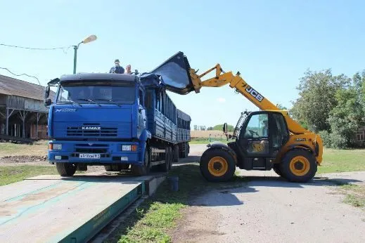 зерновозы. Перевозка зена.  в Азове 2