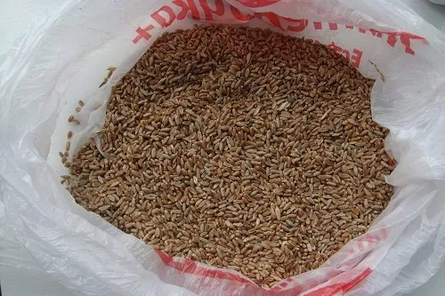 Фотография продукта Шрот, Жмых, Горох, Кукуруза, Пшеница.