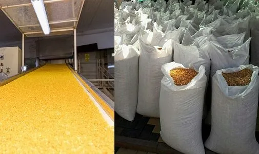 фотография продукта Кукуруза 2000 тонн -  Монголия