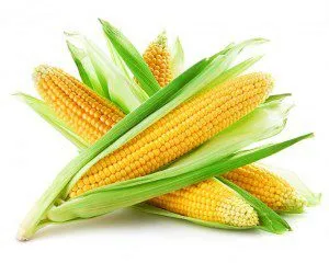 фотография продукта Реализуем кукурузу
