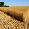 зерно в крупном объеме в Молдавии 3