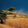 зерно в крупном объеме в Молдавии